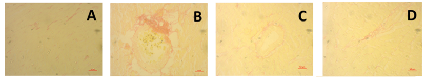 Screenshot 2026-01-10 145037